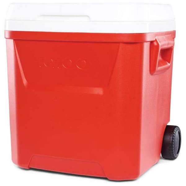 Igloo Coolers Pyörillä Varustettu Jäykkä Kannettava Jäähdytin Laguna 57l Kirkas 50 x 40 x 51 cm