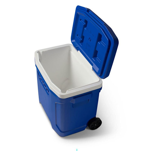 Igloo Coolers Hjul, Styv Bärbar Kylare Profile Majestic 28 26l Blå