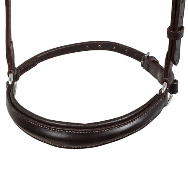 Equestro German Style Noseband Suitset  Cob