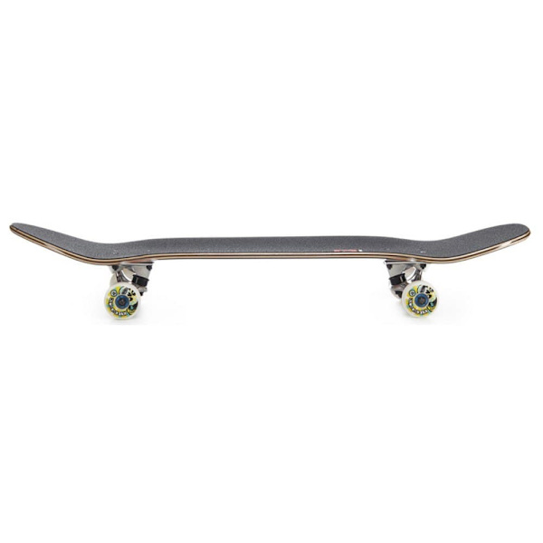 Hydroponic Skateboard Pool Co 8.75´´ Sort 32 Inches