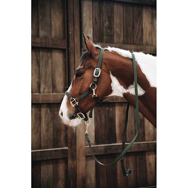 Kentucky Punottu Riimu Nylon  Cob
