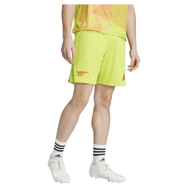 Adidas Arsenal Fc 24/25 Shortsit  M