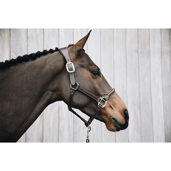 Kentucky Nahka Riimu Anatomic  Full