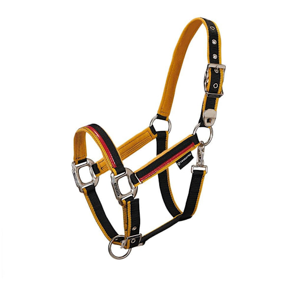 Equestro Red Trim Riimu Ja Talutin  Coby
