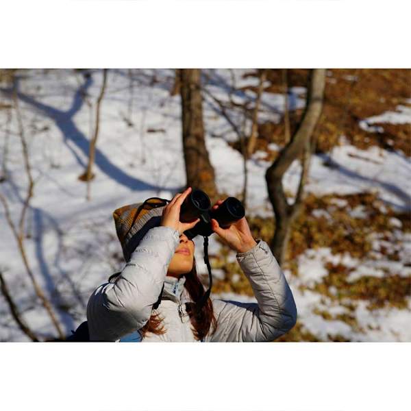 Pentax Kikare Jupiter 12x50 Guld