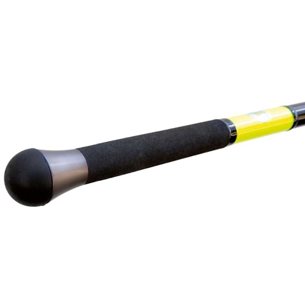 Fishing Ferrari Surfcasting Stång Beach Queen Svart 4.20 m / 100 g
