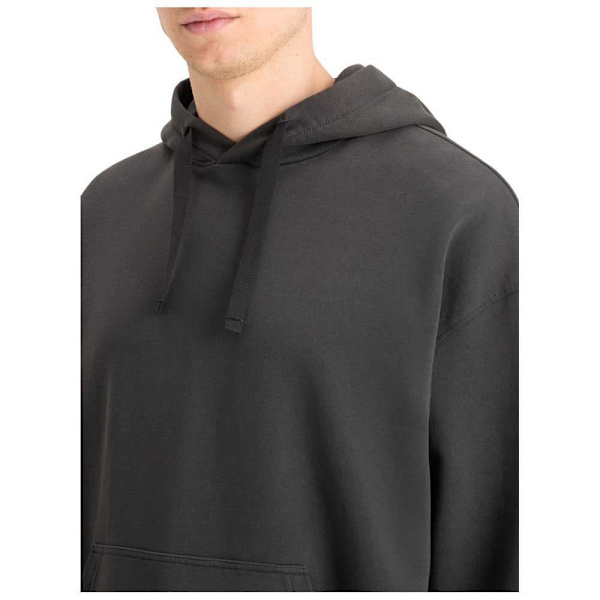 Scotch & Soda Loose Fit Back Artwork Hættetrøje Grå S Mand