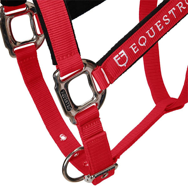 Equestro Riimu Ja Lyijy Shiny Fittings  Cob