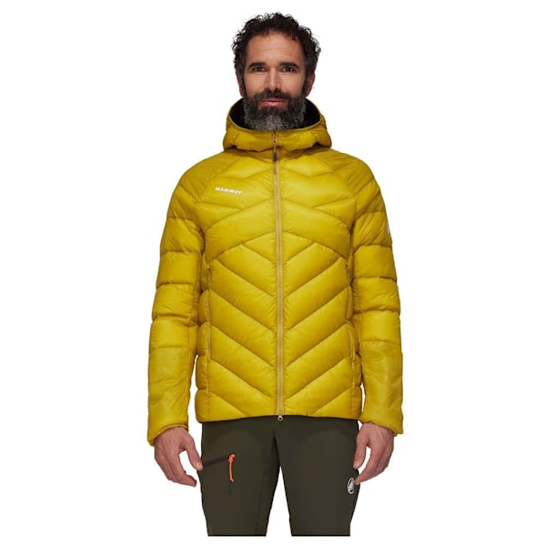 Mammut Taiss In Jacka Gul S Man