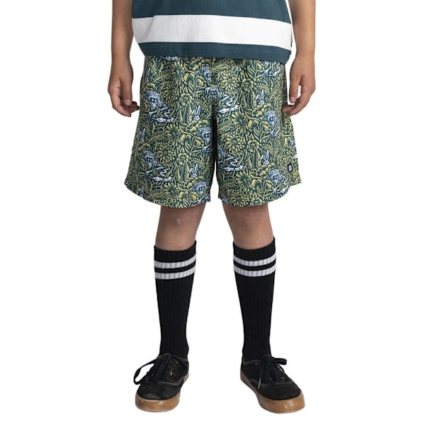 Element Ungdomsshorts Canyon Timber Grøn 14 Years