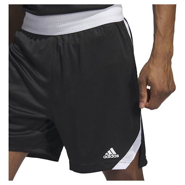Adidas Shorts Paris 23/24 Icon Squad Sort XL / Regular Mand