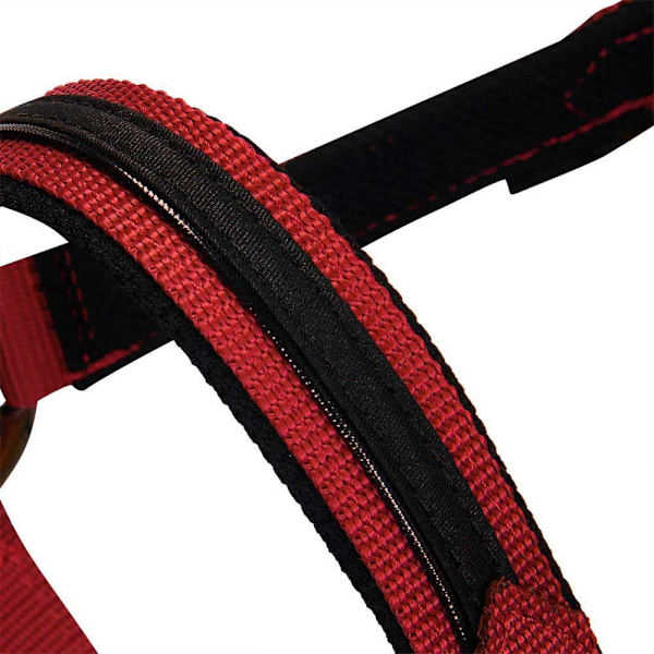 Equestro Elegance Riimu Ja Talutin  Coby