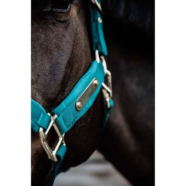 Kentucky Riimu Velvet  Cob