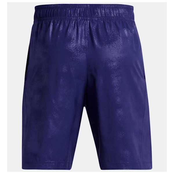 Under Armour Shorts Woven Emboss Blå L / Regular Mand