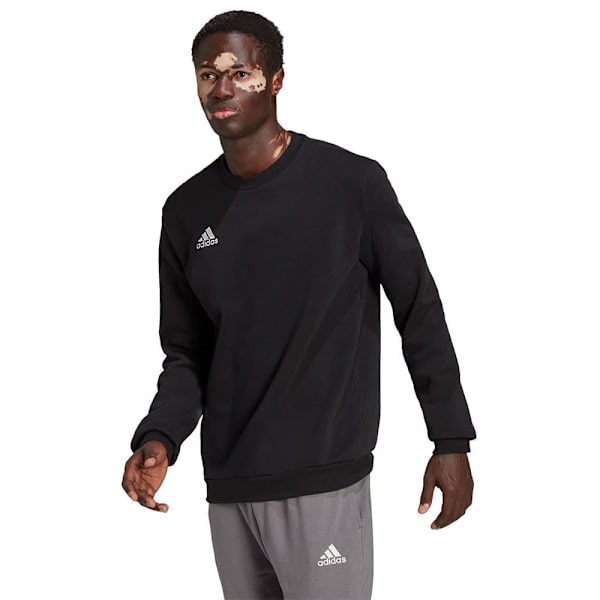 Adidas Tröja Entrada 22 Stadium Sw Svart 2XL / Regular Man