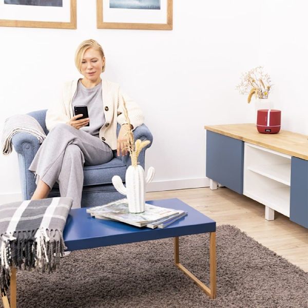 Cecotec Aroma Diffuser Purearoma 550 Connected Garnet Rød