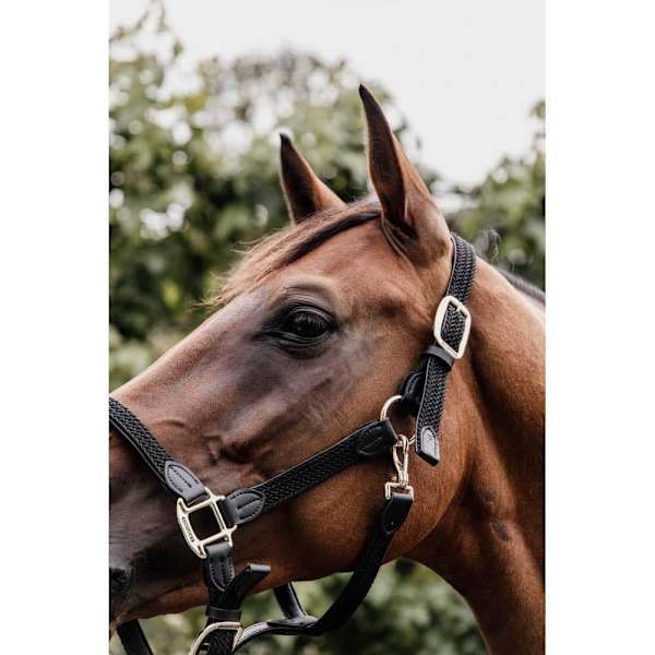 Kentucky Punottu Riimu Nylon  Full