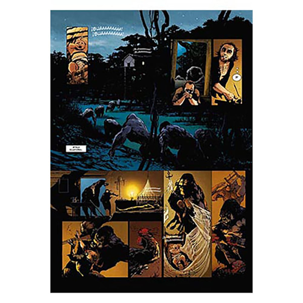 Yermo Ediciones Y Publicaciones Tarzan 01 El Señor De La Jungla Serietidning  Spanish