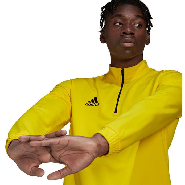 Adidas Tröja Entrada 22 Training Gul L / Tall 3 Man