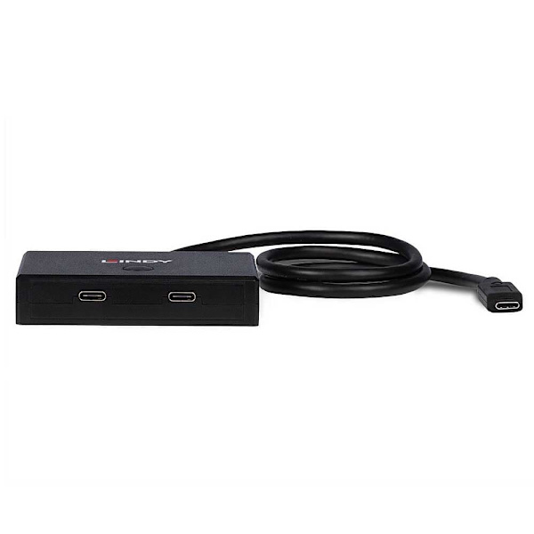 Lindy 2 Usb 3.2 Gen 2 Usb C Hub Sort