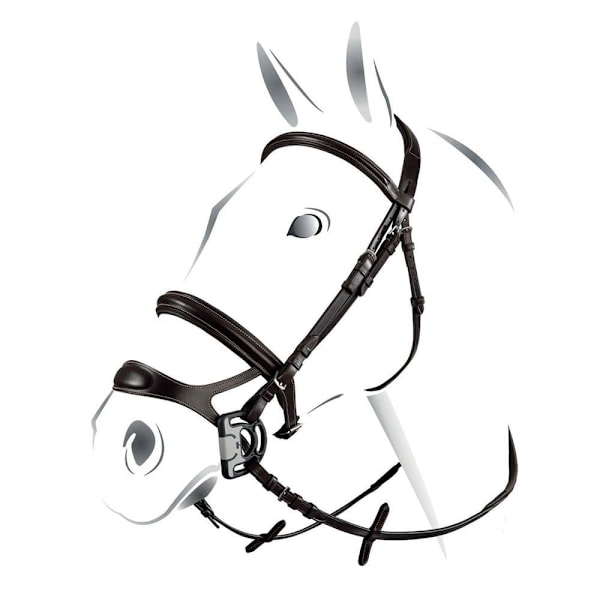 Equestro Combined Tøjle  Cob