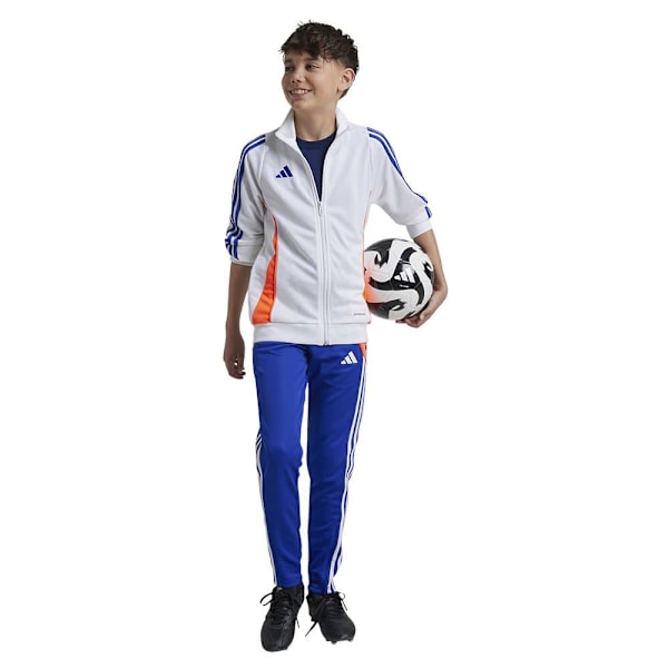 Adidas Tiro 24 Training Junior Träningsjacka  7-8 Years Pojke