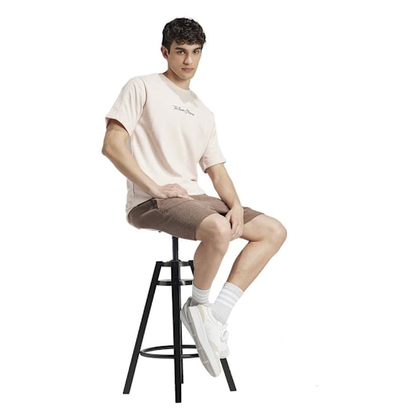 Adidas Elevated All Szn Terry Loop Shorts Brun M / Regular Mand