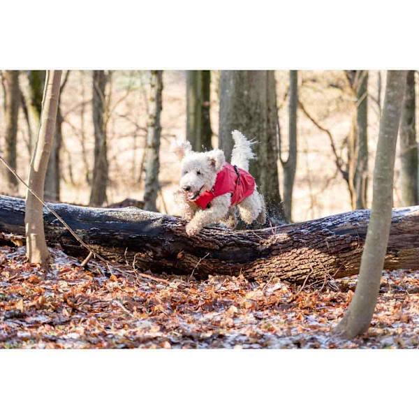 Trixie Hundejakke Vimy Rød 62 cm
