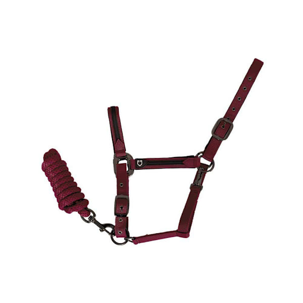 Equestro Elegance Riimu Ja Talutin  Coby
