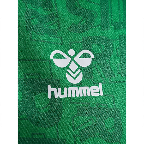 Hummel Lyhythihainen T-paita Pre Match Real Betis Balompié 23/24 Vihreä M
