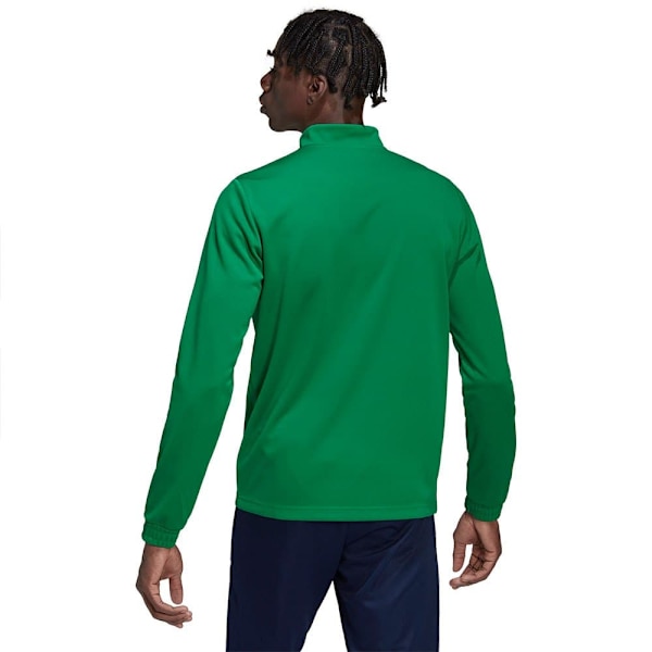 Adidas Tröja Entrada 22 Training Grönt XS / Regular Man