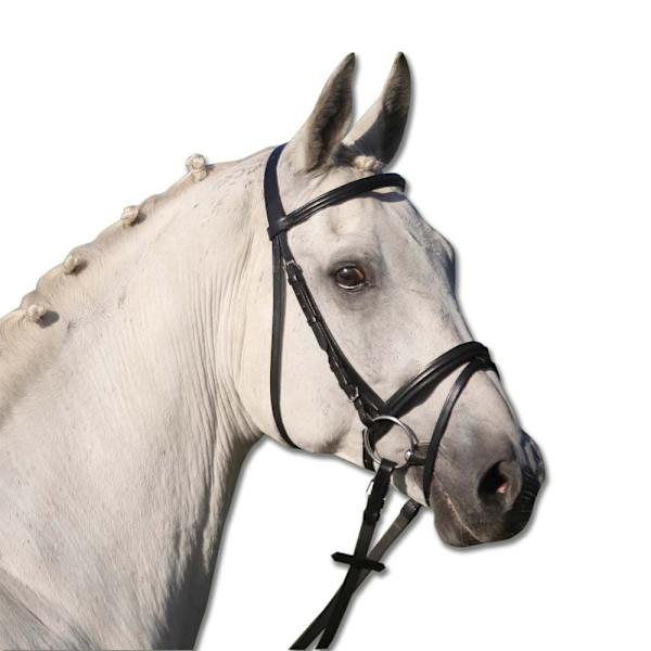 Star Suitset Lifestyle Hopeinen Pony
