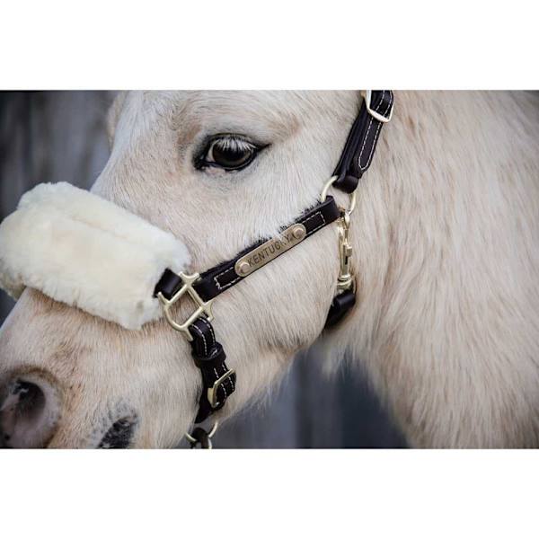 Kentucky Lampaannahkainen Nahkariimu  Shetland Pony