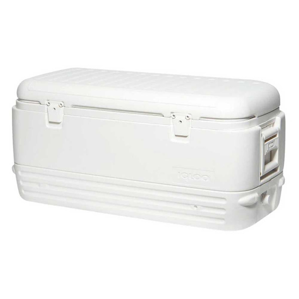 Igloo Coolers Styv Bärbar Kylare Polar 120 114l Durchsichtig Vit