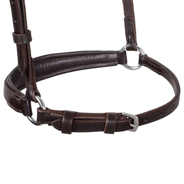 Equestro German Style Noseband Suitset  Pony