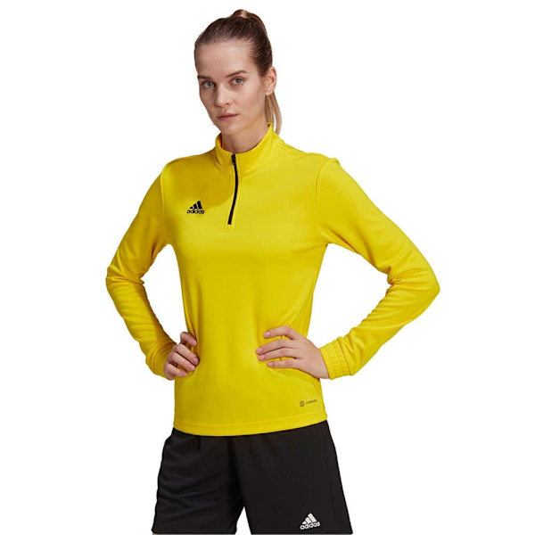 Adidas Entrada 22 Training Sweatshirt Gul M / Regular Kvinde