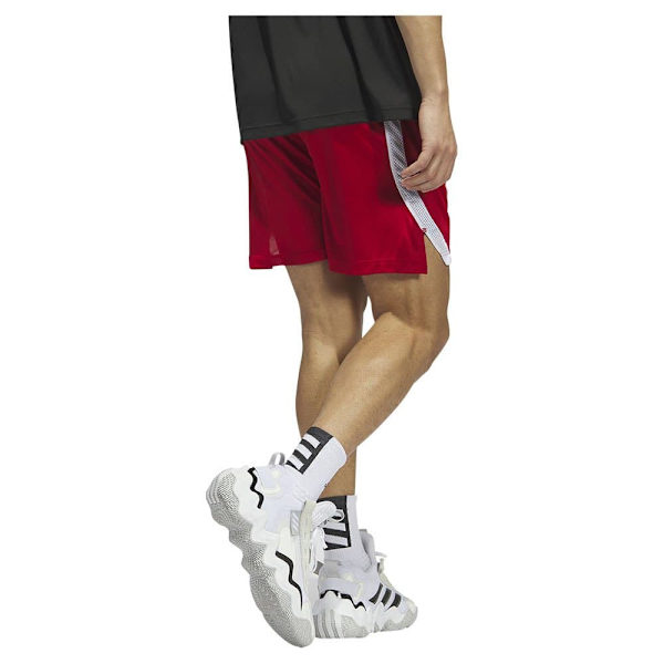 Adidas Shortsit Paris 23/24 Icon Squad Punainen M / Regular Mies