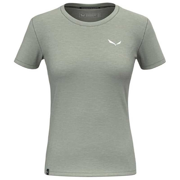 Salewa Eagle Minilogo Am T-shirt Med Korte ærmer Grå L Kvinde