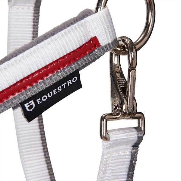 Equestro Red Trim Riimu Ja Talutin  Full
