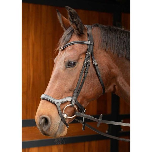 Harry´s Horse Anatomic Tygel  Cob