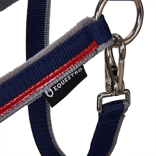 Equestro Red Trim Riimu Ja Talutin  Coby