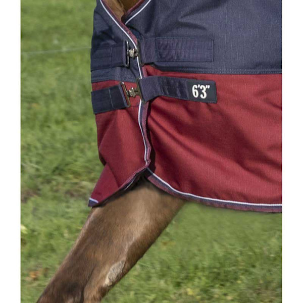 Equitheme Hög Hals Valdeltagande Matta Tyrex 1200 D Polyfil 50g Blå 215-165 cm