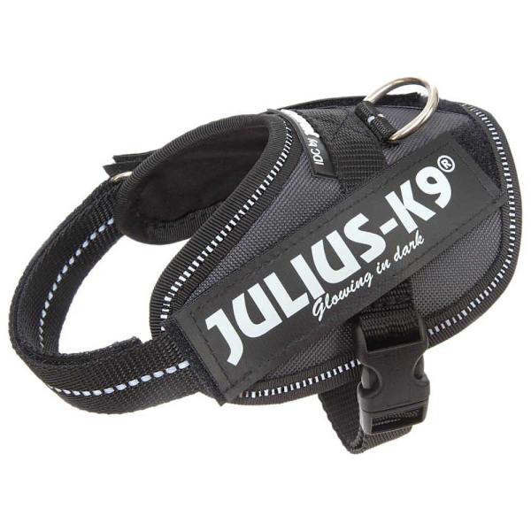 Julius K-9 Valjaat Idc® Power Harmaa L-1