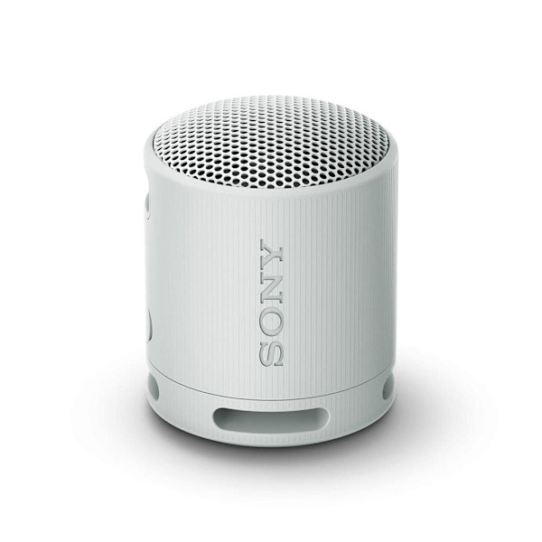 Sony Xb100 Bluetooth-högtalare Grå