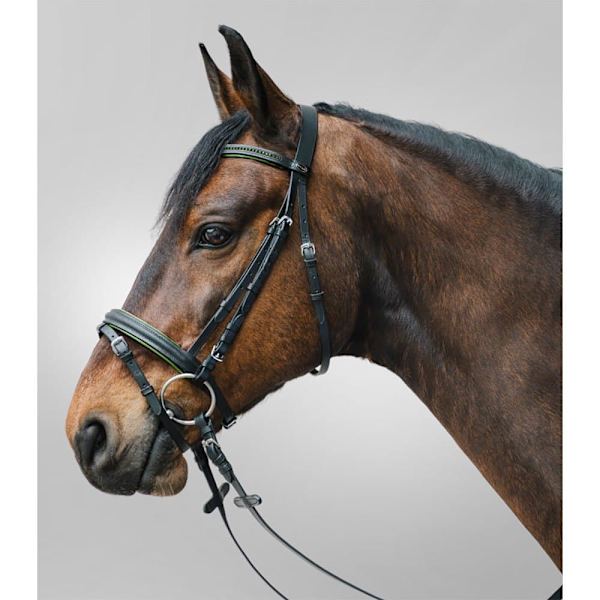 Star Snaffle Diamant Noseband  Shetland
