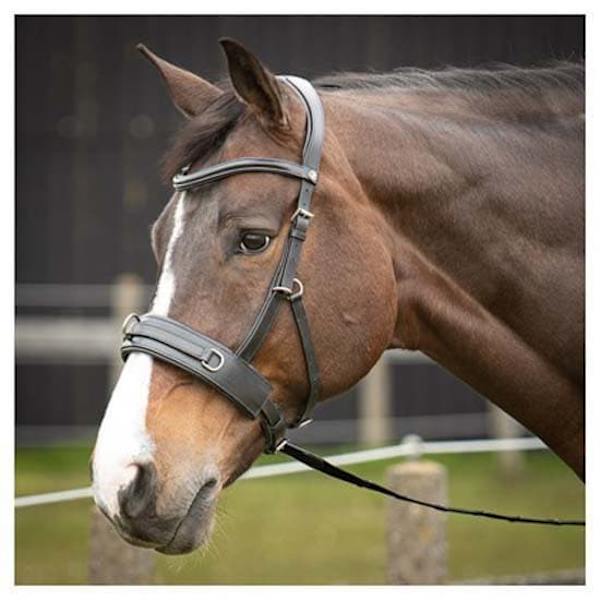 Harry´s Horse Comfort Nahkainen Suitset  Pony