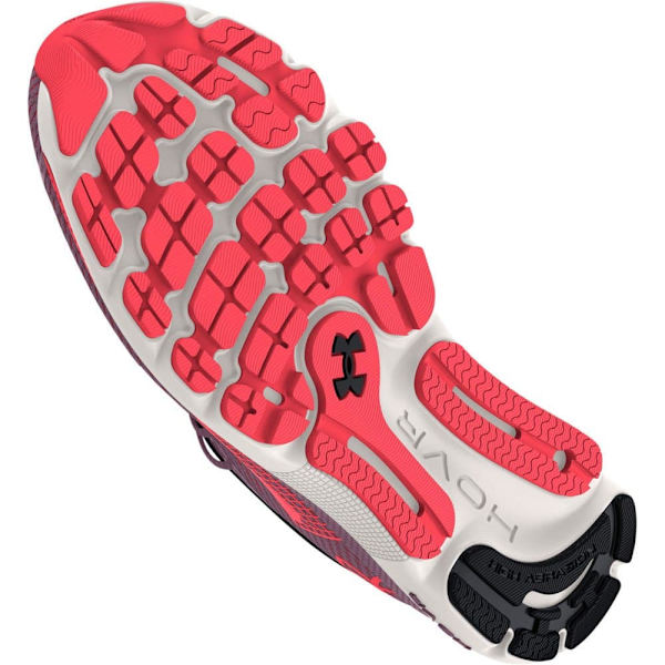 Under Armour Løbe Skoe Hovr Infinite 5 Lilla EU 37 1/2 Kvinde