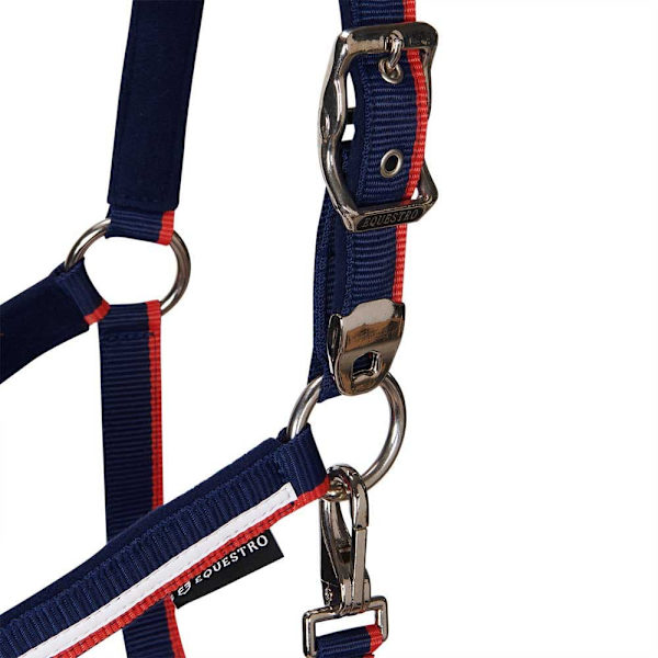 Equestro White Trim Riimu Ja Talutin  Coby
