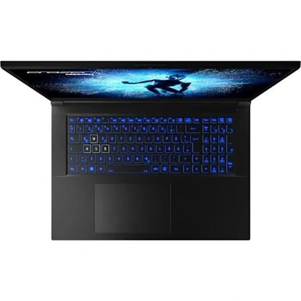 Medion Gaming Bærbar Computer Erazer Defender P40 17.3´´ I7-13700hx/16gb/1tb Ssd/rtx 4060 Blå Spanish QWERTY