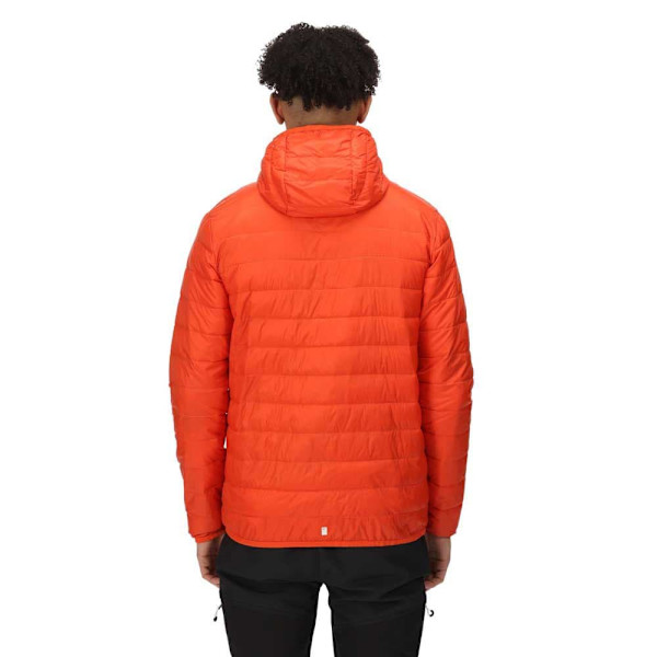 Regatta Hillpack Jakke Orange S Mand